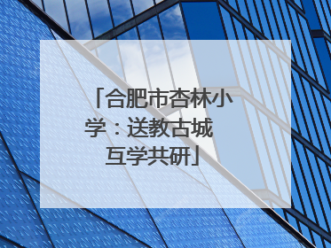合肥市杏林小学：送教古城 互学共研