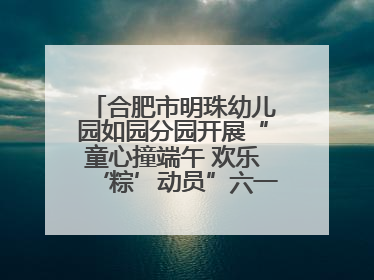 合肥市明珠幼儿园如园分园开展“童心撞端午 欢乐‘粽’动员”六一系列活动