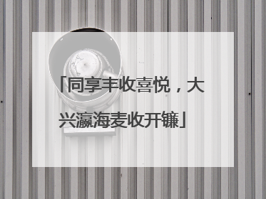 同享丰收喜悦，大兴瀛海麦收开镰
