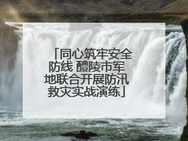 同心筑牢安全防线 醴陵市军地联合开展防汛救灾实战演练