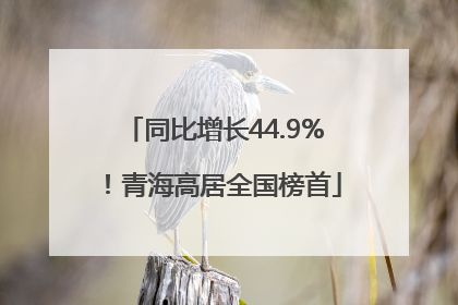 同比增长44.9%！青海高居全国榜首