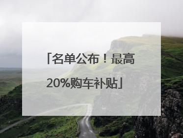 名单公布！最高20%购车补贴