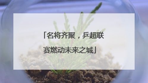 名将齐聚，乒超联赛燃动未来之城