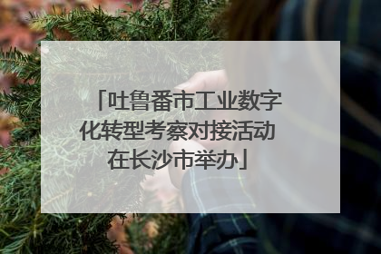 吐鲁番市工业数字化转型考察对接活动在长沙市举办