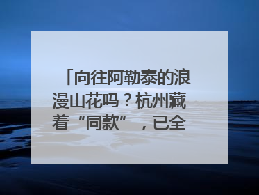向往阿勒泰的浪漫山花吗？杭州藏着“同款”，已全面进入盛花期