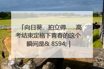 向日葵、拍立得……高考结束定格下青春的这个瞬间是& 8594;｜2025四川高考