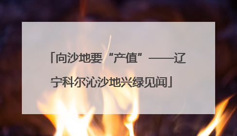 向沙地要“产值”——辽宁科尔沁沙地兴绿见闻