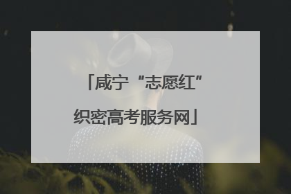 咸宁“志愿红”织密高考服务网