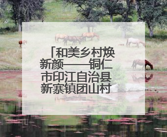 和美乡村焕新颜——铜仁市印江自治县新寨镇团山村“两清两改两治理”见闻