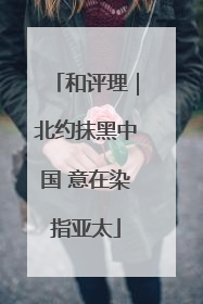 和评理｜北约抹黑中国 意在染指亚太