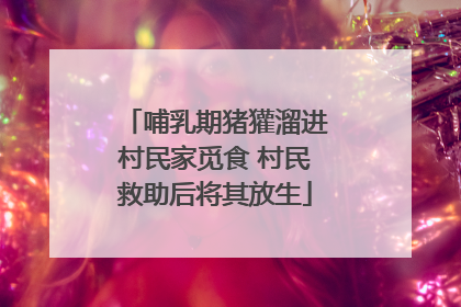 哺乳期猪獾溜进村民家觅食 村民救助后将其放生