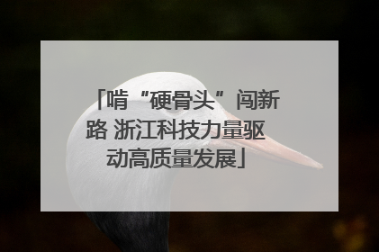 啃“硬骨头”闯新路 浙江科技力量驱动高质量发展