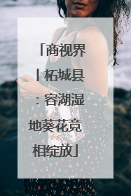 商视界丨柘城县：容湖湿地葵花竞相绽放