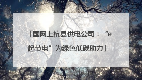 国网上杭县供电公司：“e起节电”为绿色低碳助力