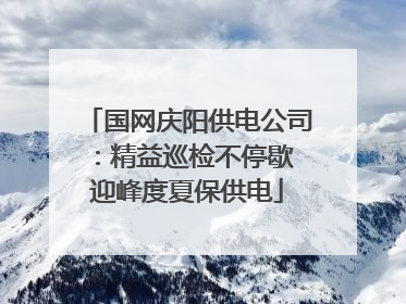 国网庆阳供电公司：精益巡检不停歇 迎峰度夏保供电
