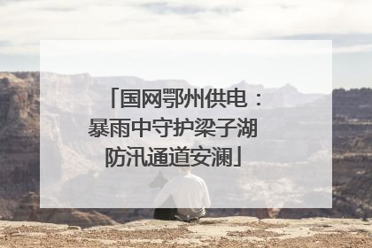 国网鄂州供电：暴雨中守护梁子湖防汛通道安澜