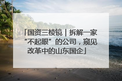 国资三棱镜｜拆解一家“不起眼”的公司，窥见改革中的山东国企