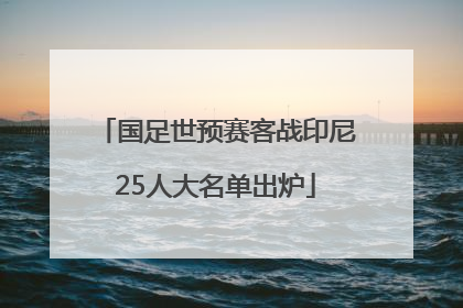 国足世预赛客战印尼25人大名单出炉