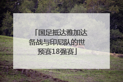 国足抵达雅加达备战与印尼队的世预赛18强赛