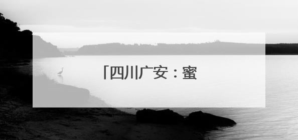 四川广安：蜜梨丰收采摘忙