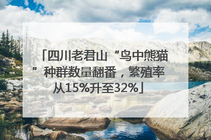 四川老君山“鸟中熊猫”种群数量翻番，繁殖率从15%升至32%