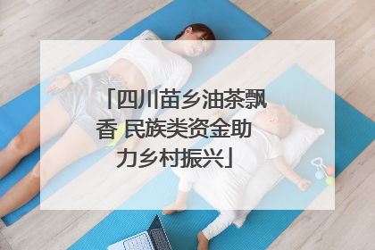 四川苗乡油茶飘香 民族类资金助力乡村振兴