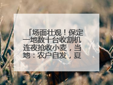 场面壮观！保定一地数十台收割机连夜抢收小麦，当地：农户自发，夏收工作基本完成