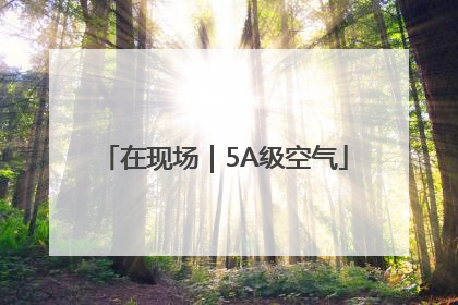 在现场｜5A级空气