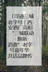 寻迹三城老字号｜西安酒厂亮相“三城联动 · 焕新消费”老字号嘉年华 共话品牌传承与创新