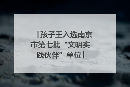 孩子王入选南京市第七批“文明实践伙伴”单位