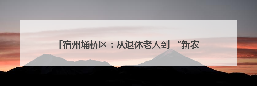 宿州埇桥区：从退休老人到 “新农人” 桑葚园开启乡村振兴新篇章