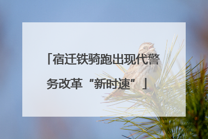 宿迁铁骑跑出现代警务改革“新时速”