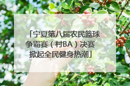 宁夏第八届农民篮球争霸赛（村BA）决赛掀起全民健身热潮