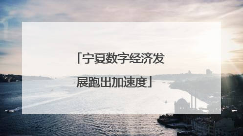 宁夏数字经济发展跑出加速度