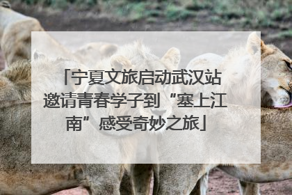 宁夏文旅启动武汉站 邀请青春学子到“塞上江南”感受奇妙之旅