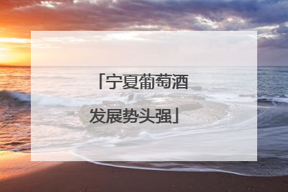 宁夏葡萄酒发展势头强