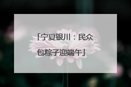 宁夏银川：民众包粽子迎端午