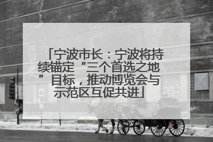 宁波市长：宁波将持续锚定“三个首选之地”目标，推动博览会与示范区互促共进