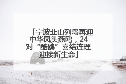 宁波韭山列岛再迎中华凤头燕鸥，24对“酷鸥”喜结连理迎接新生命
