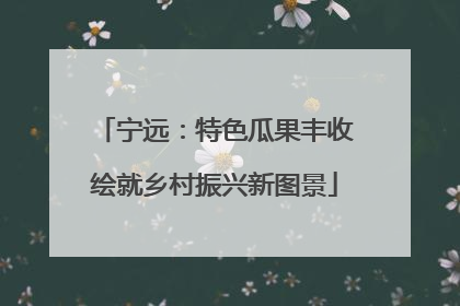 宁远：特色瓜果丰收绘就乡村振兴新图景