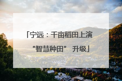 宁远：千亩稻田上演 “智慧种田” 升级