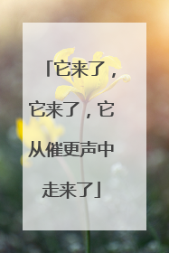 它来了，它来了，它从催更声中走来了