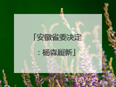 安徽省委决定：杨森履新