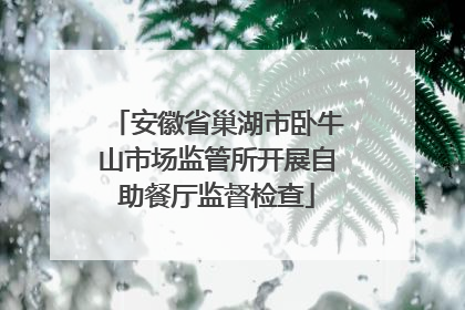 安徽省巢湖市卧牛山市场监管所开展自助餐厅监督检查