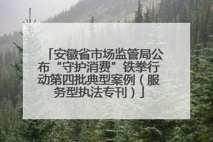 安徽省市场监管局公布“守护消费”铁拳行动第四批典型案例（服务型执法专刊）