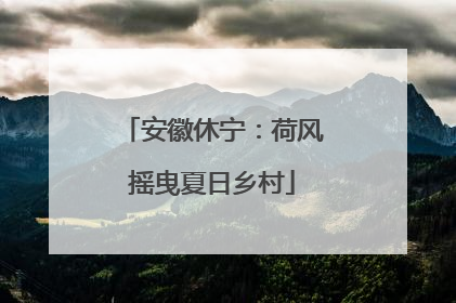 安徽休宁：荷风摇曳夏日乡村