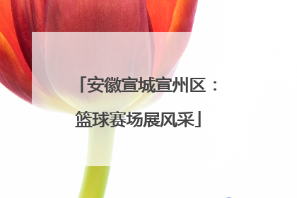安徽宣城宣州区：篮球赛场展风采