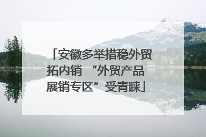 安徽多举措稳外贸拓内销 “外贸产品展销专区”受青睐