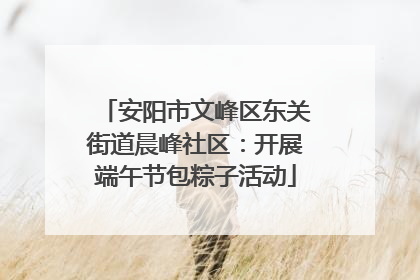 安阳市文峰区东关街道晨峰社区：开展端午节包粽子活动