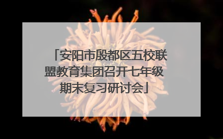 安阳市殷都区五校联盟教育集团召开七年级期末复习研讨会